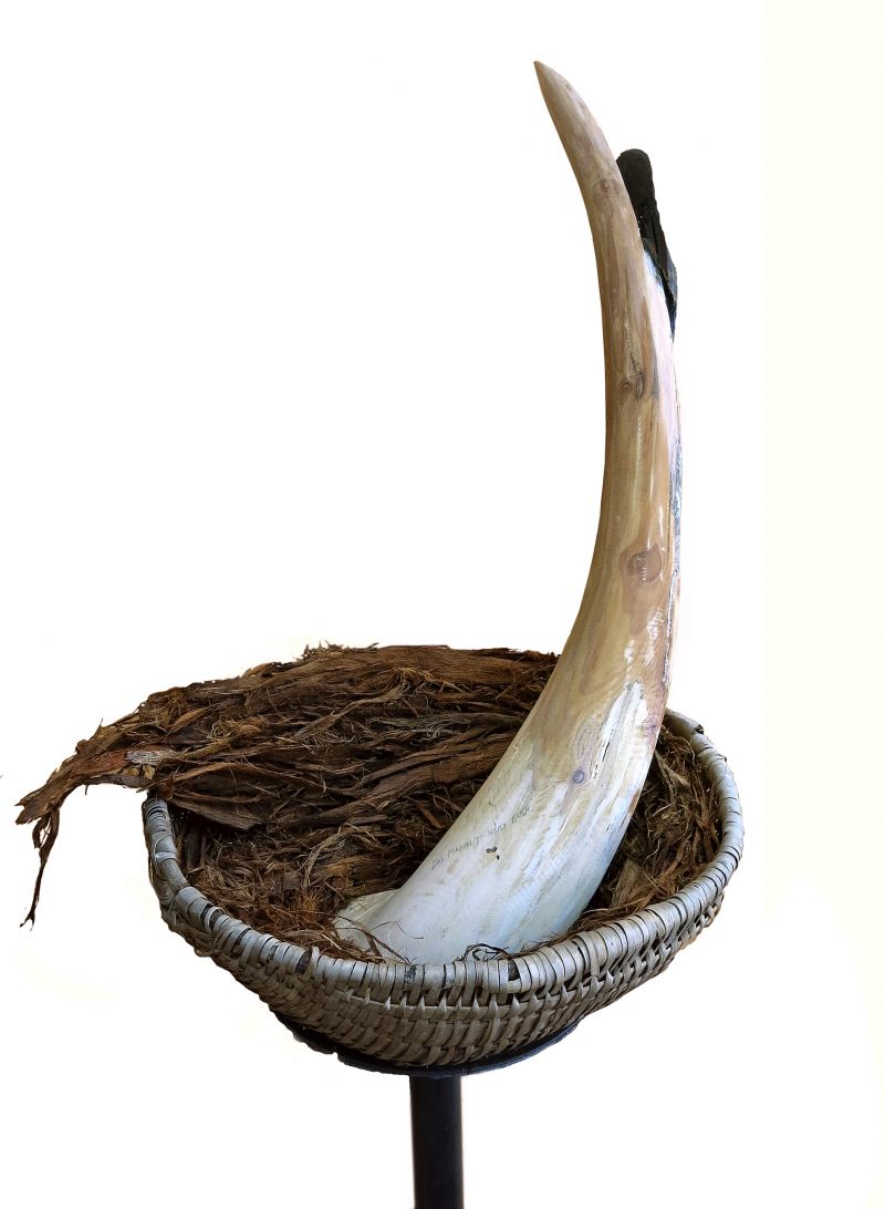 … Das Mammut Hört Euch